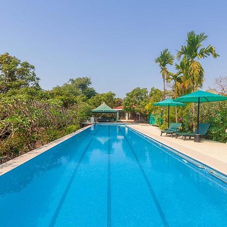 Stayvista'S Casa Palmera - Pet-Friendly Villa With Pool, Garden With Gazebo, And Indoor & Outdoor Games 阿里巴格 外观 照片