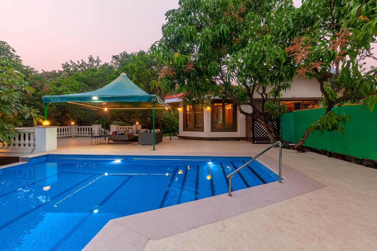 Stayvista'S Casa Palmera - Pet-Friendly Villa With Pool, Garden With Gazebo, And Indoor & Outdoor Games 阿里巴格 外观 照片